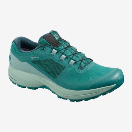 Zapatillas Trail Running Salomon XA ELEVATE 2 GTX W Mujer Verde (ES-ZTPS)